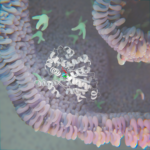 The protein AADAC inside the ER