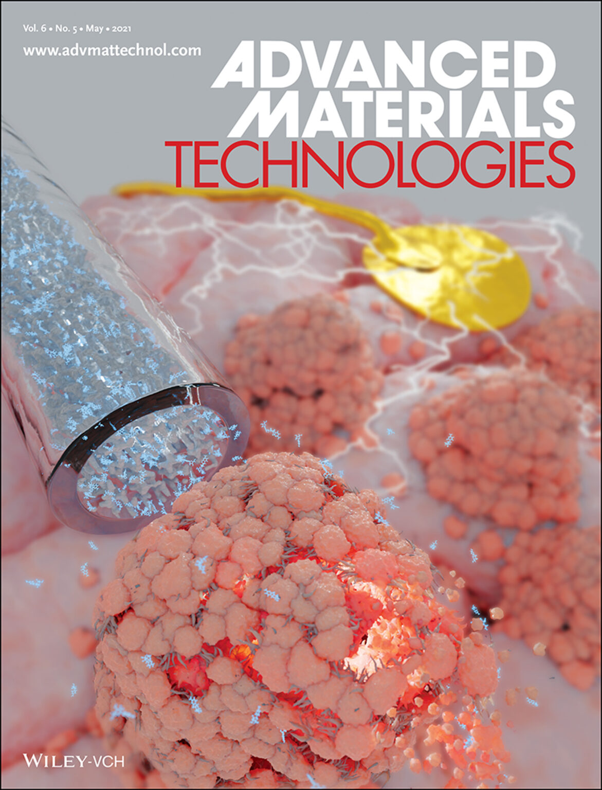 Inside Journal Cover