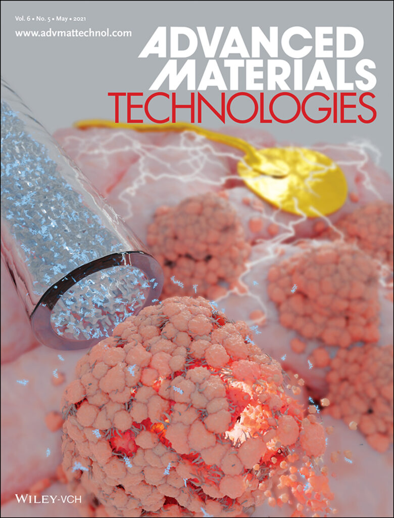 Inside Journal Cover