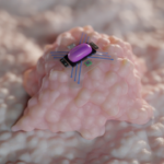 Mock-up for a device to release chemotherapeutic agents close to a cancer cell