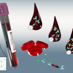 Testing blood for glutathione status (Graphical abstract)
